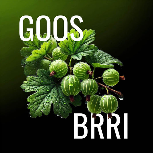 Must H Tobacco 125g - Goos Brri